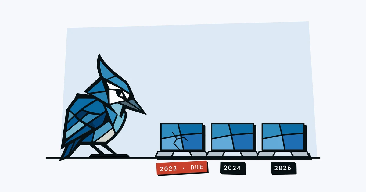 Jay the blue jay pecking the oldest of three laptops labelled 2022, 2024 and 2026
