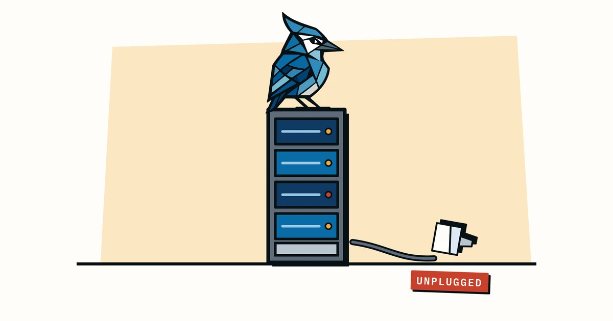 Jay the blue jay perched on an unplugged server tower
