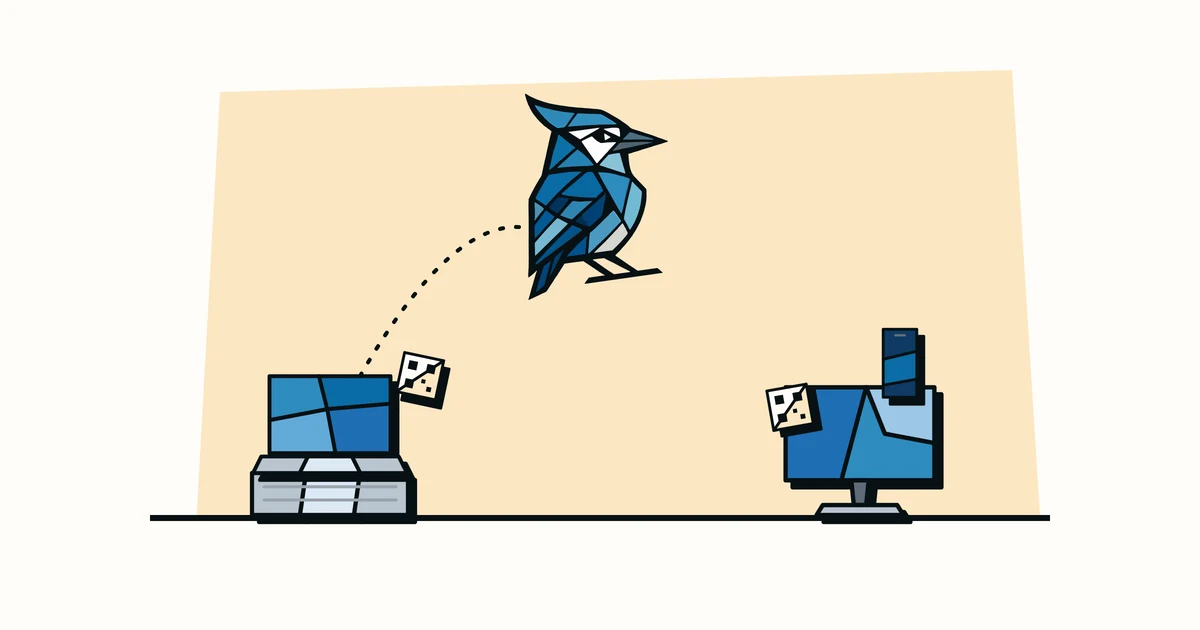 Jay the blue jay hopping between two piles of tagged equipment