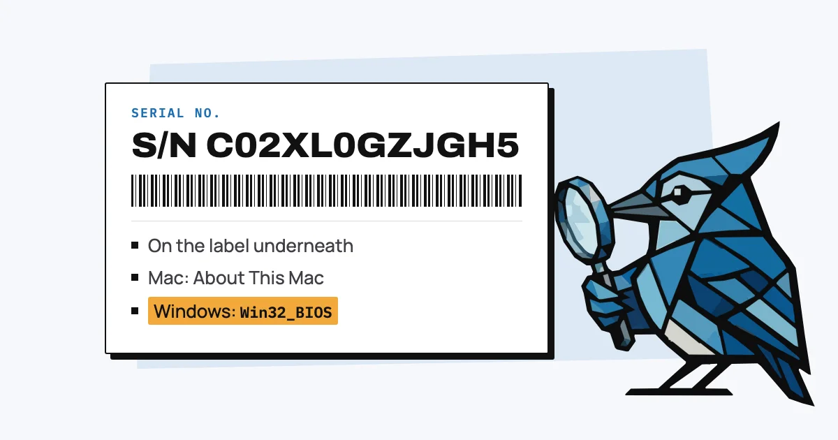 Jay the blue jay with a magnifying glass, studying a serial number label that lists where to find it on a Mac and on Windows